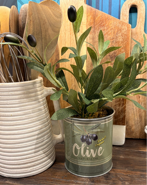 Faux Olive Plant in Tin