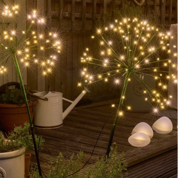 Garden Dandelion