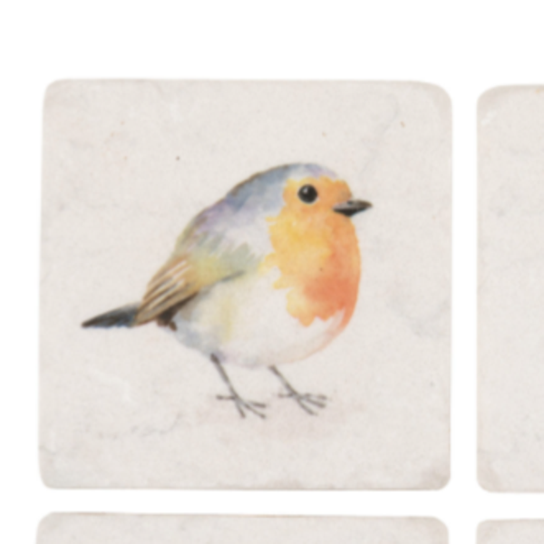 Robin Coasters Set of 4