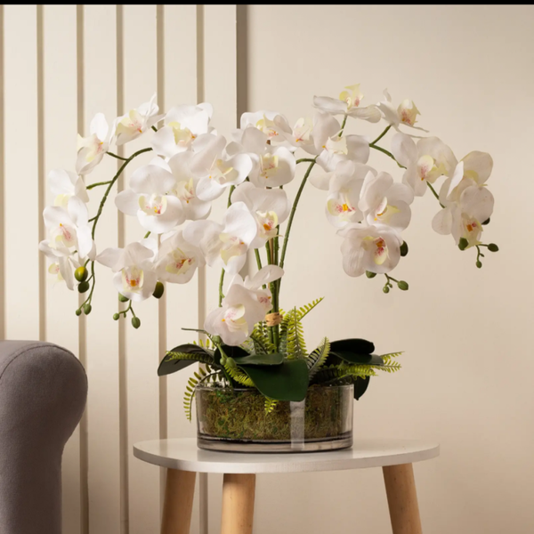 Orchid with Fern in Glass Pot