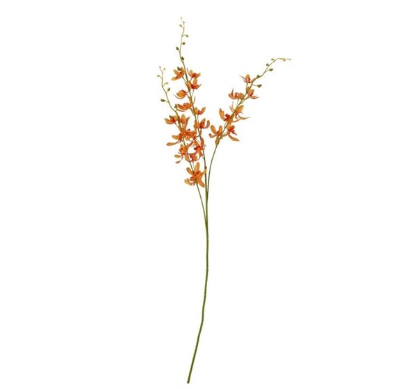 Orange Cymbidium Spray