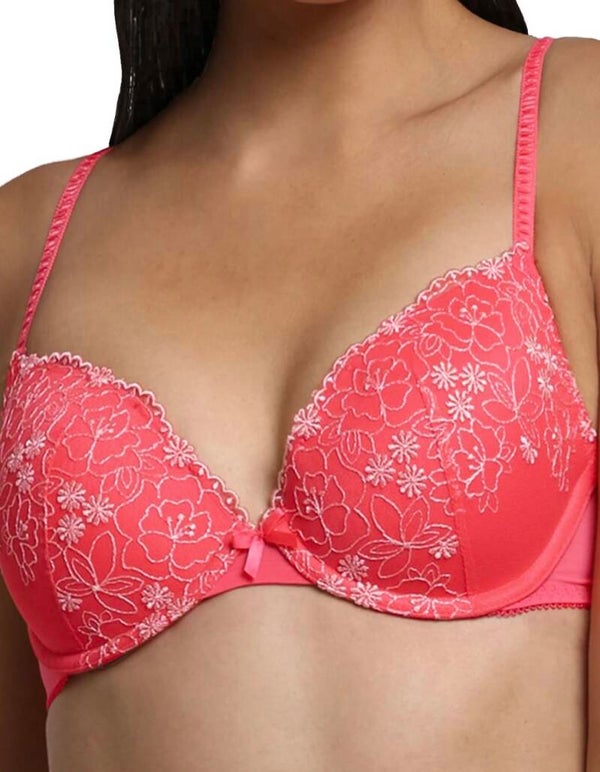 Embroidered Padded Plunge Bra