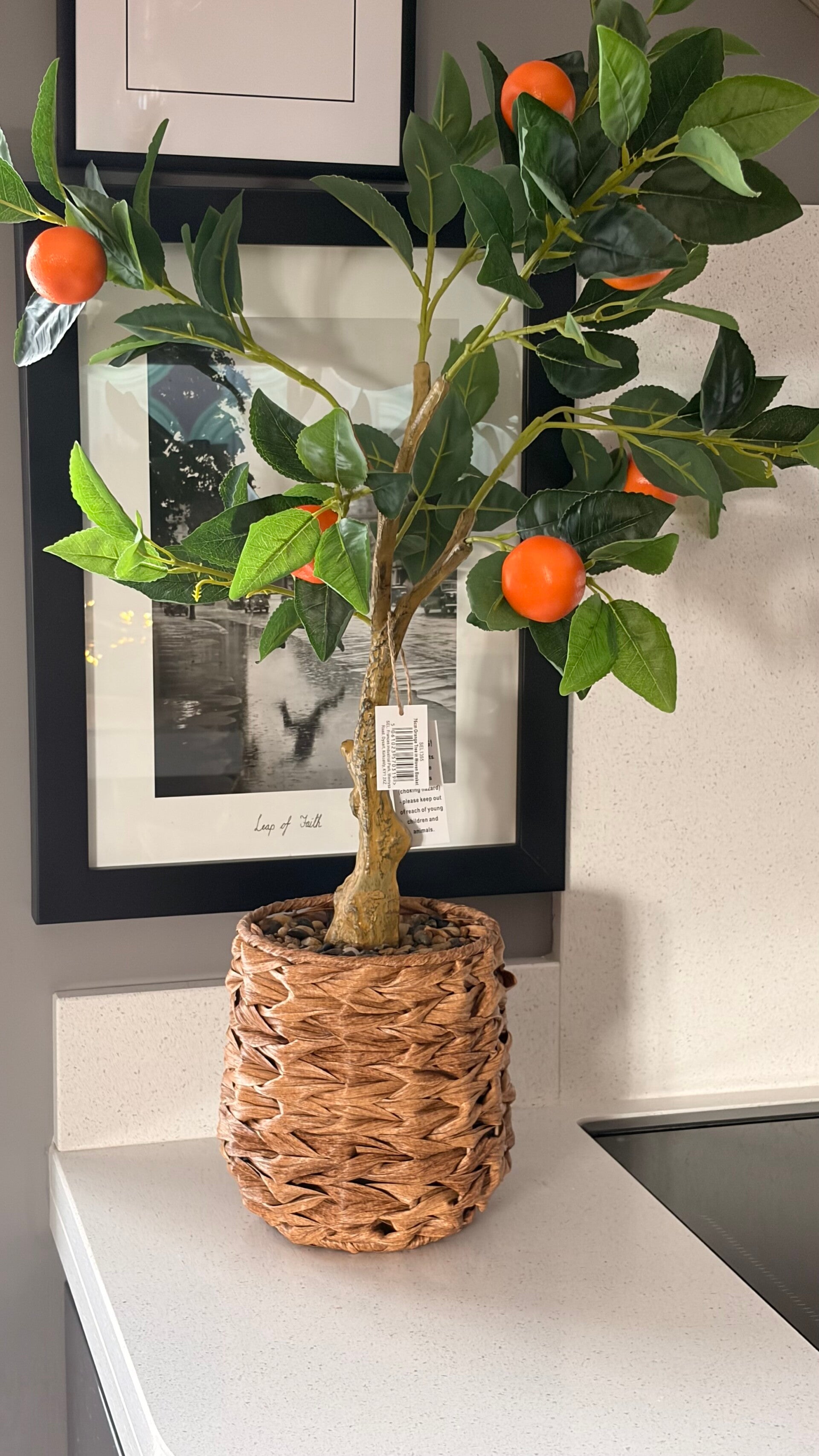 Orange Tree in basket