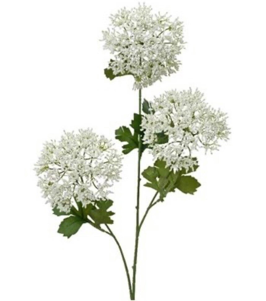 SPRAY DILL ON STEM, 87CM