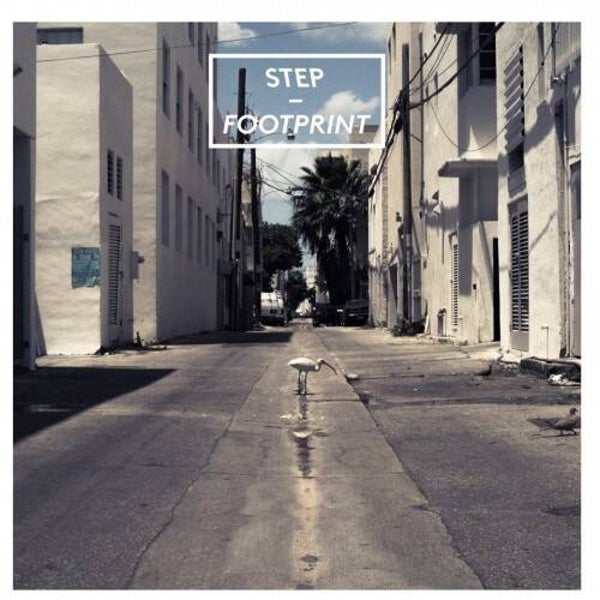 Step Footprint Vinyl Lp