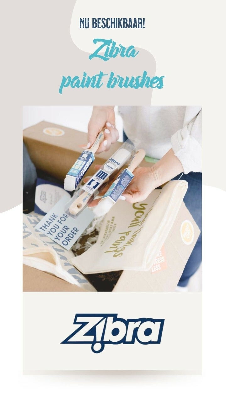 Zibra brushes / Sylvie’s paint & more Sylvie's upcycling projects