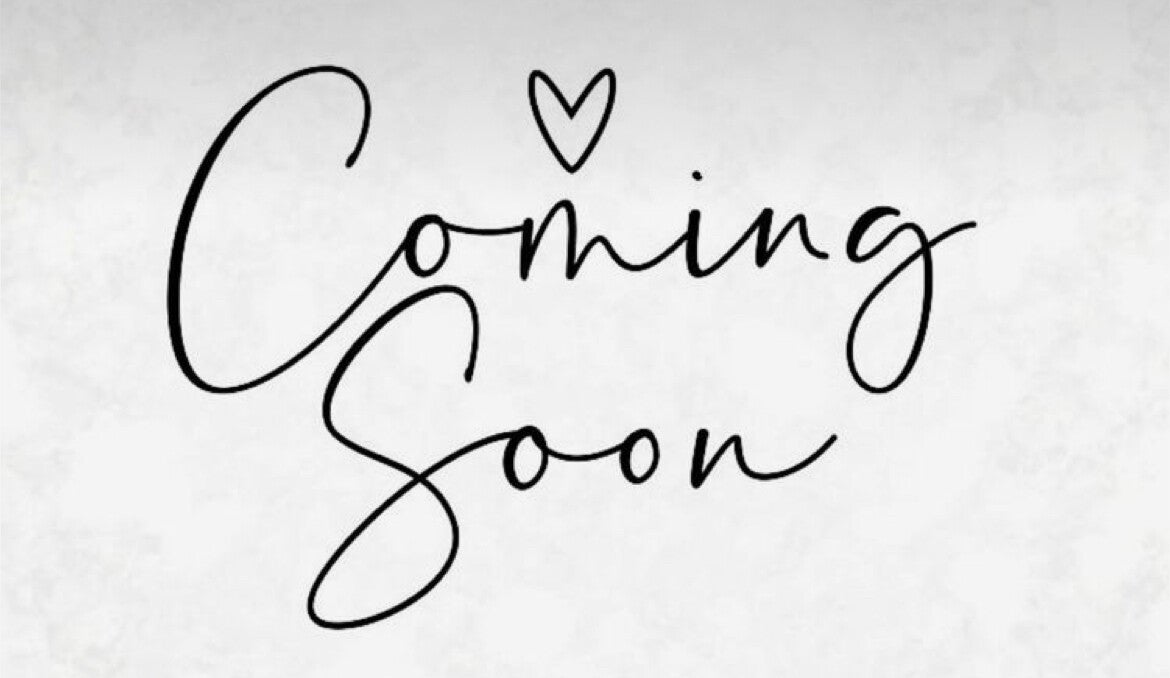 Car Rentals Costa Car Alicante