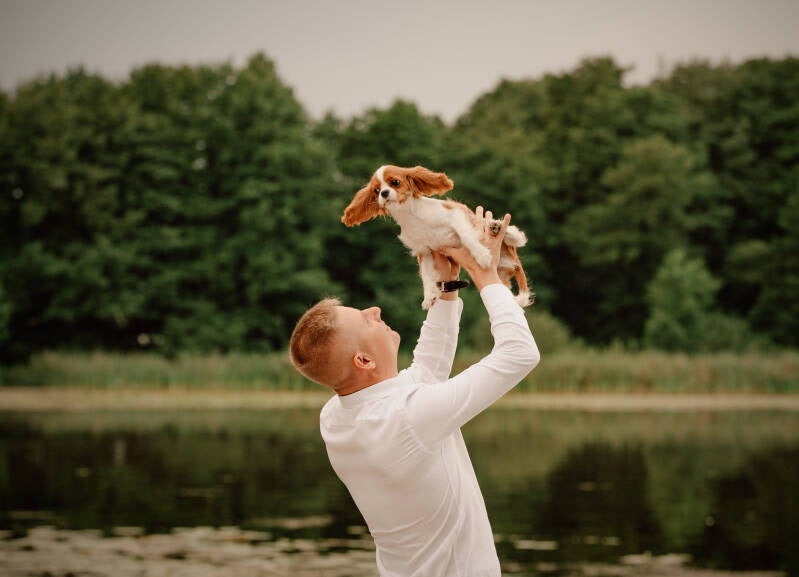 Mężczyzna bawi się z pieskiem cavalierem na tle ściany lasu i jeziora podczas plenerowych zdjęć – fotografka Grudziądz