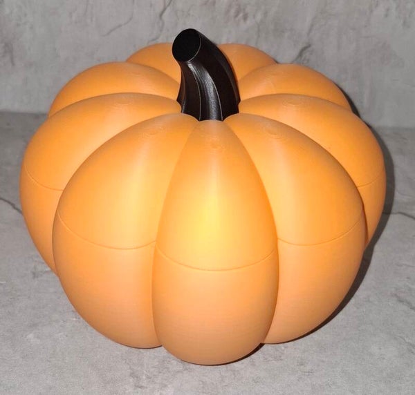 Kürbis 3