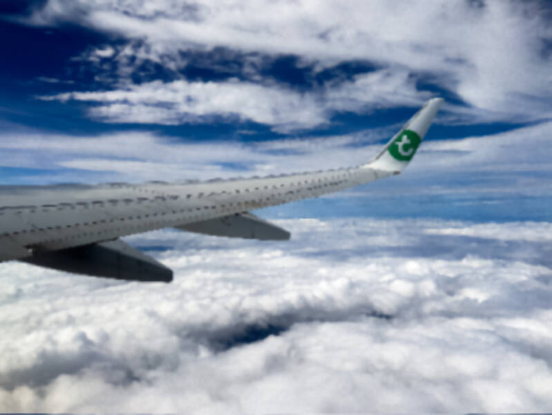 daisy-standard-805lz3.jpg