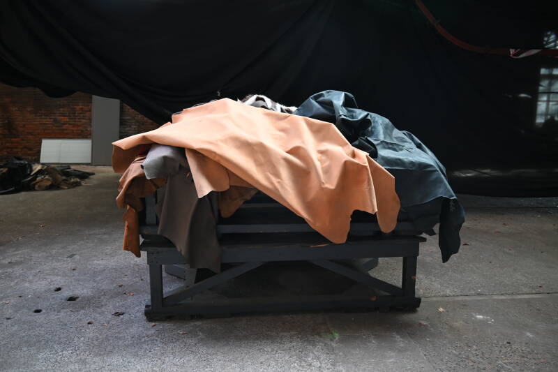 dsc_4762-standard.jpg