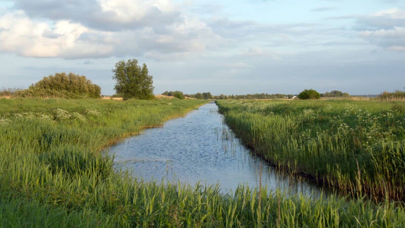img_01231natuurfotografiehansweijts.jpg