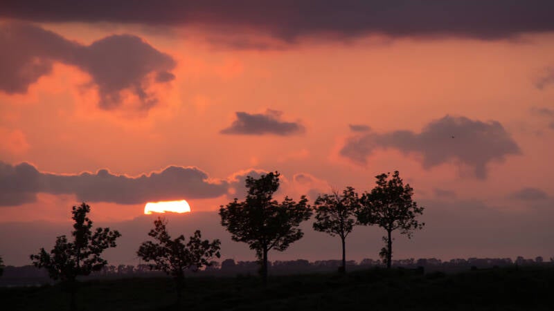 img_01421natuurfotografiehansweijts.jpg