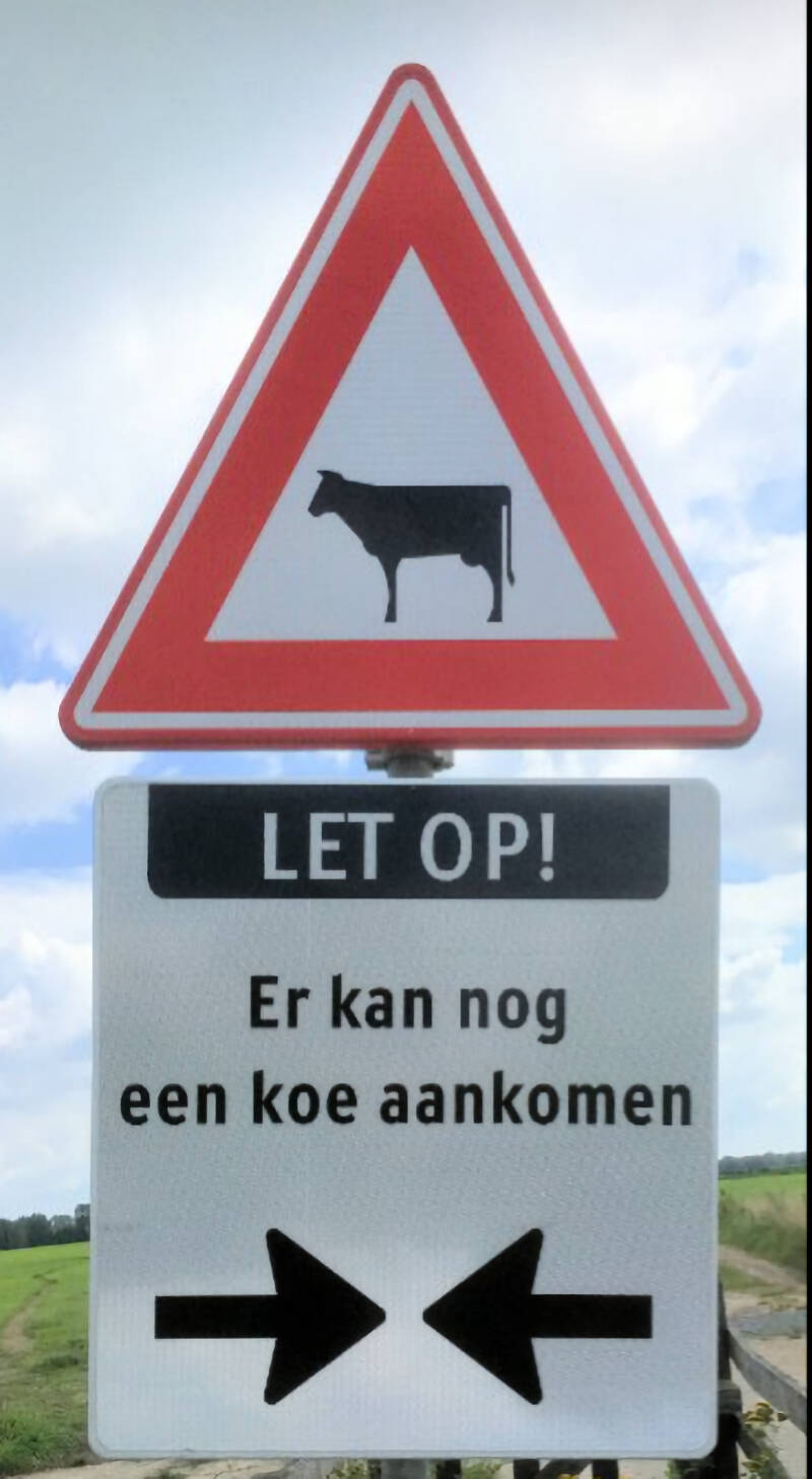 koe-standard-qkfytv.jpg