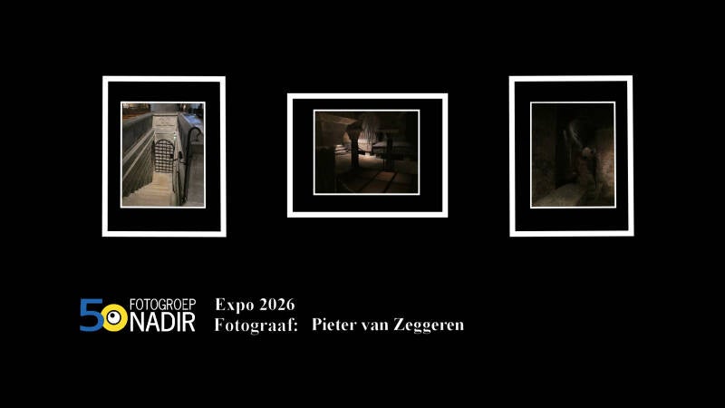 pieter-standard-khxjqv.jpg