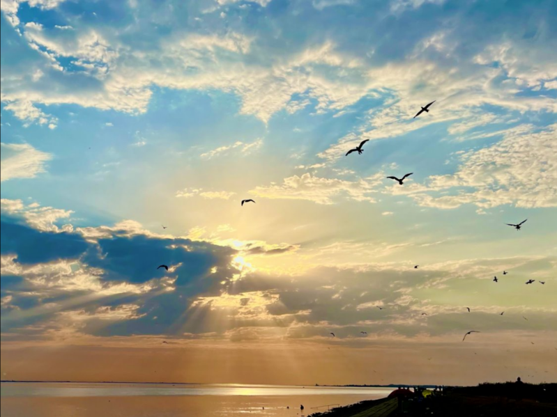 zonsondergang-oosterschelde-standard-ewzuu0.png