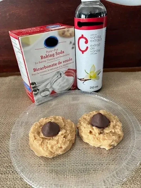 Cookie w/ Chocolate Kiss Soap