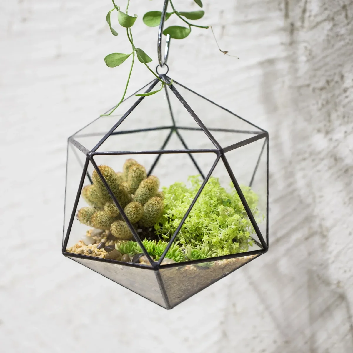 Picture of 5 Clever DIY Plant Decor Ideas / Blog | Small Space Gardening
