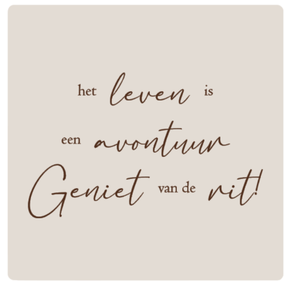 schermafbeelding-2025-08-08-221417-standard.png