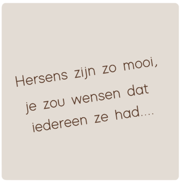 schermafbeelding-2025-08-08-223723-standard.png