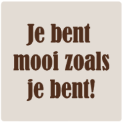 schermafbeelding-2025-08-09-094606-standard.png