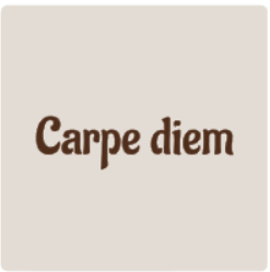 schermafbeelding-2025-08-09-094829-standard.png
