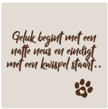 schermafbeelding-2025-08-09-100153-standard.png