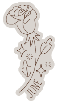 schermafbeelding-2025-08-12-184254-standard.png