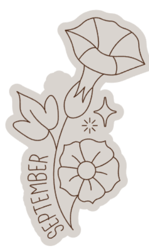 schermafbeelding-2025-08-12-185739-standard.png