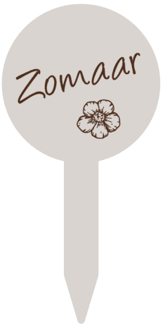 schermafbeelding-2025-08-20-122032-standard.png