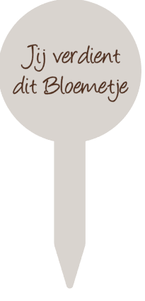 schermafbeelding-2025-08-20-144336-standard.png