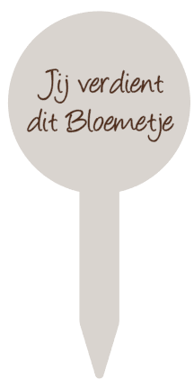 schermafbeelding-2025-08-20-144342-standard.png