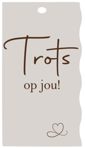 schermafbeelding-2025-08-20-163502-standard.png