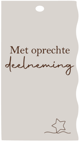 schermafbeelding-2025-08-20-164311-standard.png