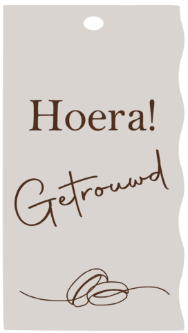 schermafbeelding-2025-08-20-164805-standard.png