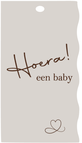 schermafbeelding-2025-08-20-165000-standard.png