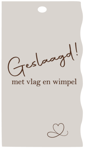 schermafbeelding-2025-08-20-165014-standard.png