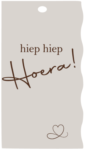 schermafbeelding-2025-08-20-165037-standard.png