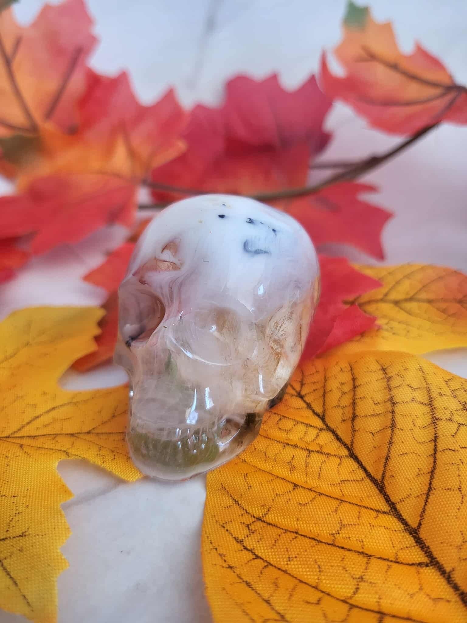 Mini crâne coquillage blanc