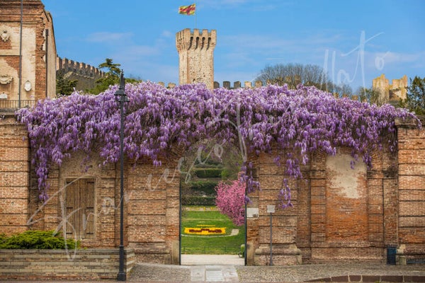 STAMPA POSTER cm 40x60