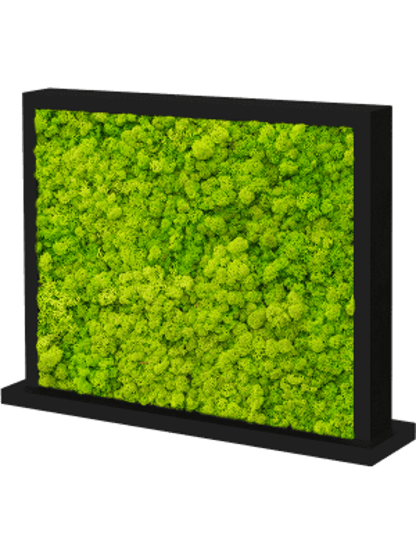 Mos divider zwart zijdeglans rendiermos lentegroen 70 x 30 cm