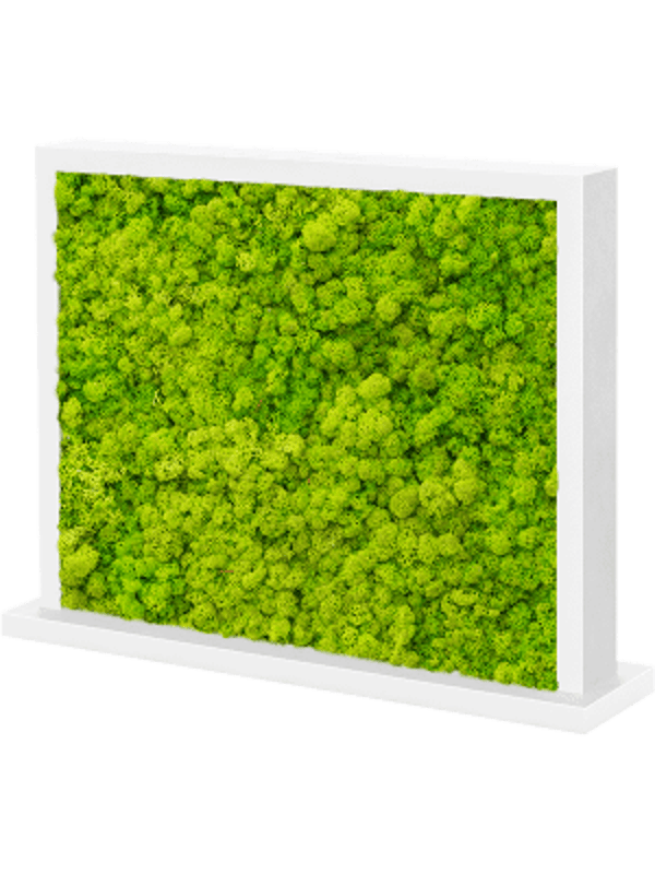 Mos divider wit zijdeglans rendiermos lentegroen 70 x 30 cm
