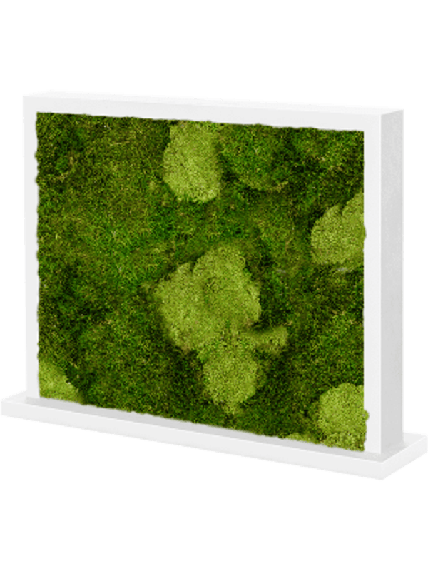 Mos divider wit zijdeglans bol- en platmos 70 x 30 cm