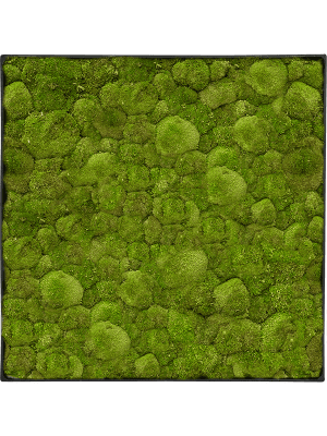 Mosschilderij anthracite-concrete bolmos 30 x 30 cm