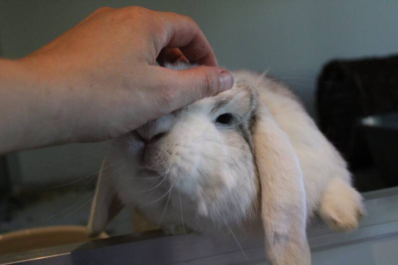 img-20260709-wa0028-standard.jpg