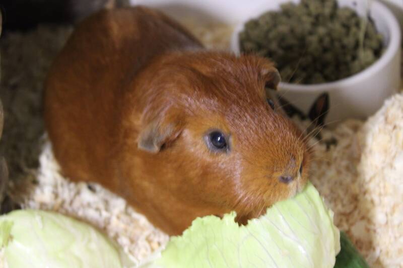 img-20260713-wa0033-standard.jpg