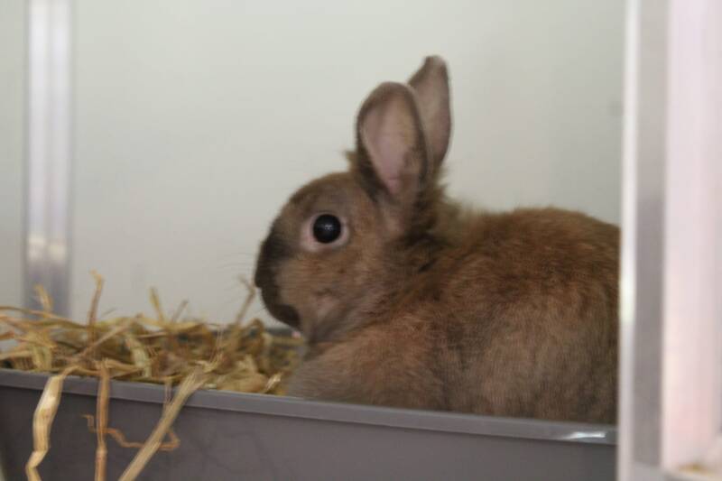 img-20260716-wa0034-standard.jpg