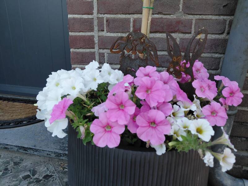 img-20260716-wa0128-standard.jpg