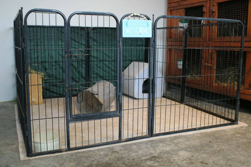 Welkom/koppel/speel ren