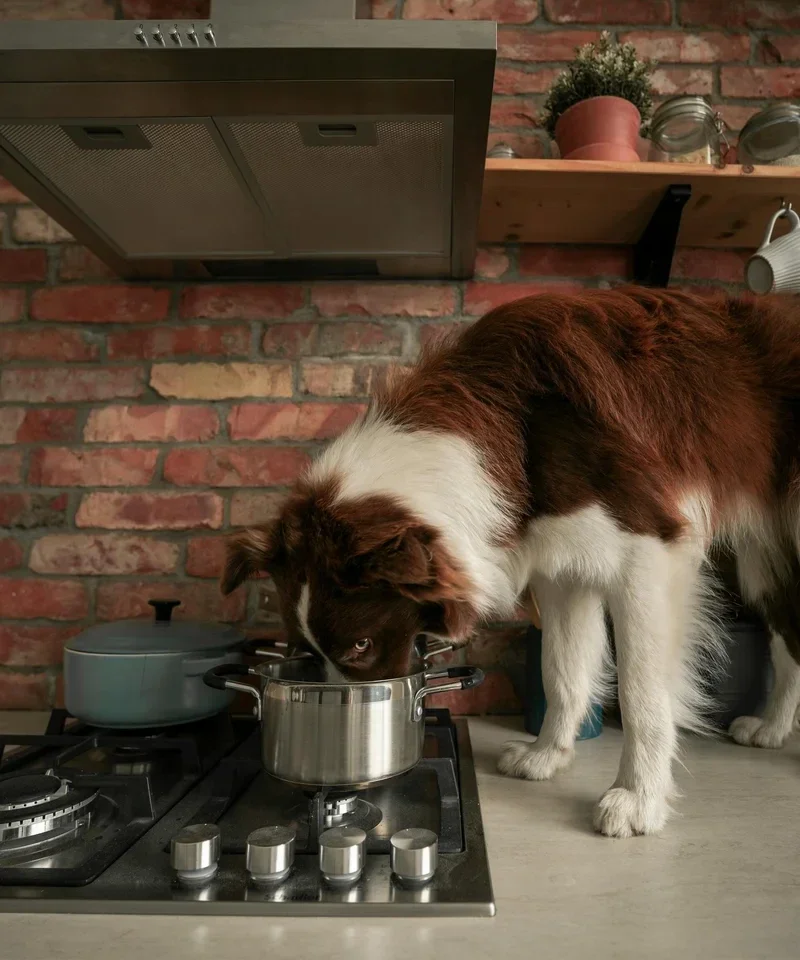 Voedingsconsult Basis